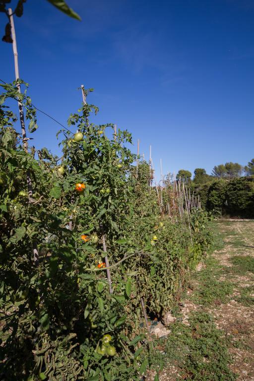 Les Résidences De Métifiot Saint-Rémy-de-Provence